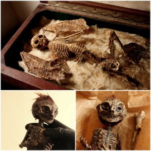 Unique Discovery: Marvel at the Tiny Skeletons Unearthed