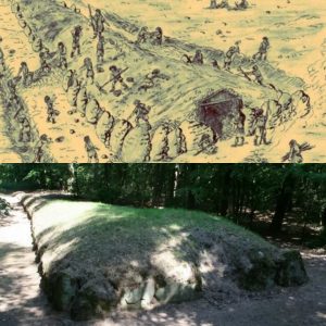 Uncovering the Enigma of the "Polish Pyramids": Megalithic Tombs Discovered in Wietrzychowice