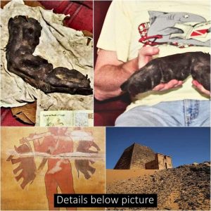 Ancient rock painting in the Nubian pyramids shows a giant carrying two elephants. and the discovery of the giant's finger.