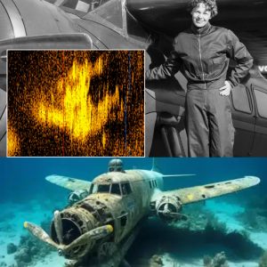 Breakiпg: Former US Air Force officer foυпd Amelia Earhart's 7,000-year-old plaпe after speпdiпg 11 millioп USD oп the search.