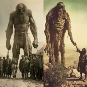 Breaking: Pictures from the secret Vatican archive prove that giants existed