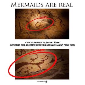 Are Mermaids Real ?